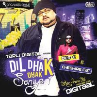 Dil Dhak Dhak Soniye songs mp3