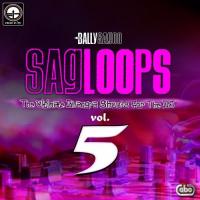 Sagloops Volume 5 - The Ultimate Bhangra Shouts For The Dj songs mp3