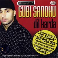 Dil Karda songs mp3