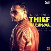 Thief Of Punjab songs mp3