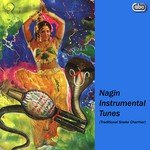 Nagin Instrumental Tunes (Traditional Snake Charmer) songs mp3