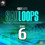 Sagloops Volume 6 - The Ultimate Bhangra Break Beats For The DJ songs mp3