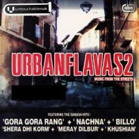 Laree Naal Punjabi Outlawz Song Download Mp3
