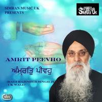 Amrit Peevho Sada Chir Jeevho Ragi Rajinder Singh Ji UK Wale Song Download Mp3