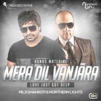 Mera Dil Vanjara (Reprise) Peji Shahkoti,Northern Lights Song Download Mp3