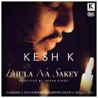 Bhula Na Sakey songs mp3