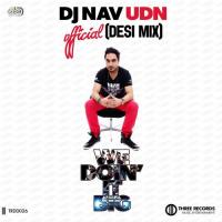 We Doin&039; It Big (Desi Remix) DJ Nav UDN Song Download Mp3