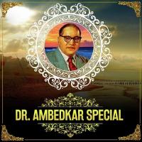 Dr. Ambedkar Special songs mp3
