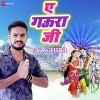 A Gaura Vijay Chauhan Song Download Mp3