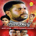 Nirakoottu songs mp3