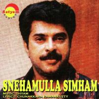 Snehamulla Simham songs mp3