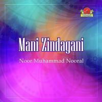 Mani Zindagani songs mp3