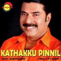 Kathakku Pinnil songs mp3