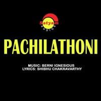Pachilathoni songs mp3