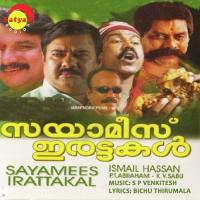 Pirannoree (Female Version) K. S. Chithra Song Download Mp3