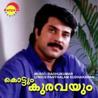 Neeharmai (From "Kottum Kuravayum") Unni Menon,Vaani Jayaram,Raghukumar Song Download Mp3