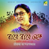 Bare Bare Take Sreeradha Bandyopadhyay Song Download Mp3