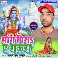 Bhang Pisa Ae Gaura Janmejay Kumar Song Download Mp3