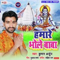 Hamare Bhole Baba songs mp3