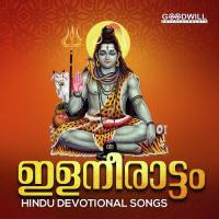 Bhavabhaya Haranaamam - Female Bhavana Song Download Mp3
