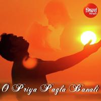 O Priya Pagla Banali Abhishek Bhattacharjee Song Download Mp3
