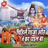 Bathela Kali Pisat Bhang Ke Pataiya Shital Saraswati Song Download Mp3