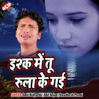 Ishq Me Tu Rula Ke Gayee songs mp3