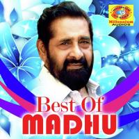 Manjapattu Njorinju Vani Jayaram Song Download Mp3