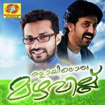 Kallayiloru Mazhavillu songs mp3