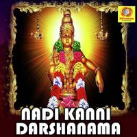 Nana Nana Ayyappa Sannidhi Ramesh Chandra,Sruthi Song Download Mp3