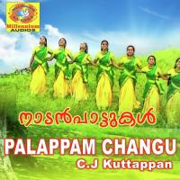 Palappam Changu_C. J. Kuttappan songs mp3