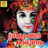 Sreekrishna Kaarunnyam songs mp3