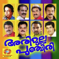 Miehraj Raavile Kannur Shareef Song Download Mp3