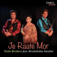 Je Raate Mor Violin Brothers,Brishtilekha Nandini Song Download Mp3