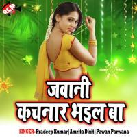 Peya Mor Hile Ya Sakhi Smita Singh Song Download Mp3