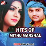 Hits Of Mithu Marshal songs mp3