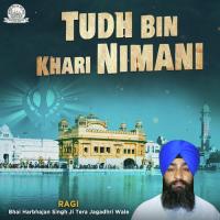 Tudh Bin Khari Nimani Bhai Harbhajan Singh Ji Tera Jagadhri Wale Song Download Mp3