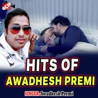 Hits Of Awadhesh Premi Full DJ songs mp3