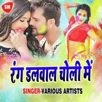 Rang Dalwala Choli Me songs mp3