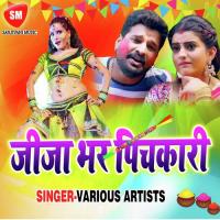 Jija Bhar Pichakari Marla Binj Gail Badal Babali,Sweta Shree Song Download Mp3