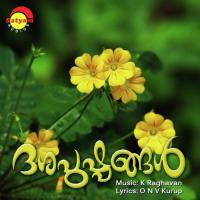 Krishna Nin Niram M G Sreekumar,Sujatha Mohan Song Download Mp3
