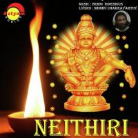 Neithiri songs mp3