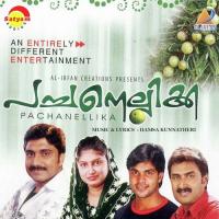 Pachanellikka Afsal Song Download Mp3