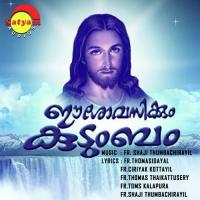 Deepangale K. G. Markose,Niranam Jessi Song Download Mp3