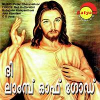 Parishudhalmave Peter Cheranalloor,Nixon Song Download Mp3