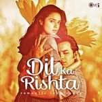 Deewana Dil Kho Gaya (From "Jab Dil Kisi Pe Aata Hai") Kavita Krishnamurthy,Hariharan Song Download Mp3