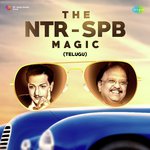 The NTR - SPB Magic songs mp3