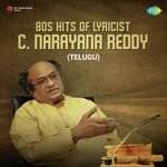 80s Hits Of Lyricist C. Narayana Reddy songs mp3