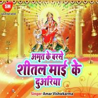 Sherwa Ke Shobhe Swari Vicky Raj Song Download Mp3