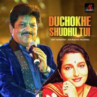 Duchokhe Shudhu Tui Anuradha Paudwal,Udit Narayan Song Download Mp3